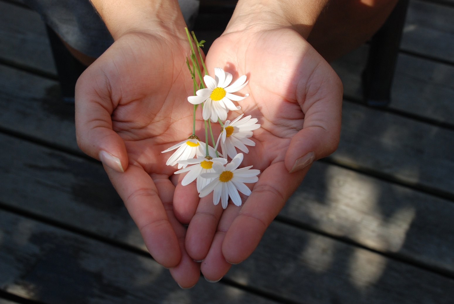 A Bunch of Flowers