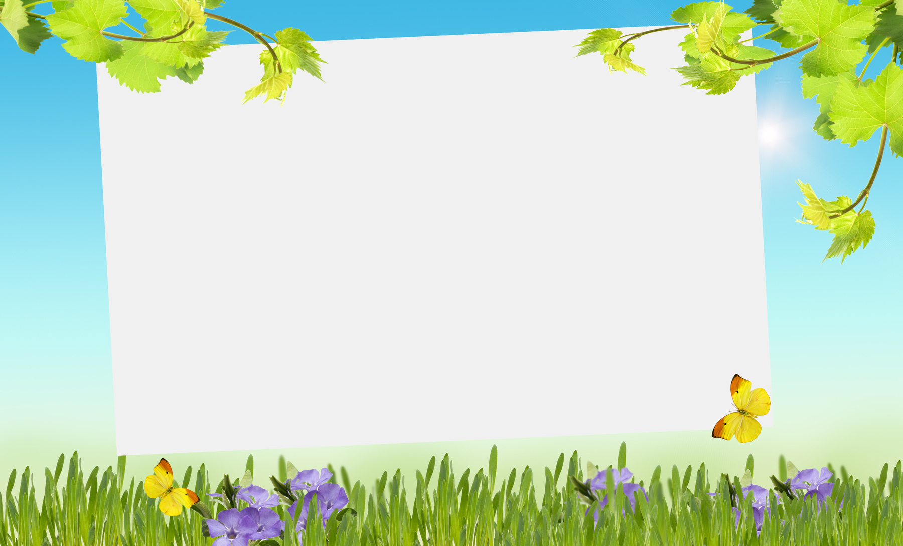 Spring background