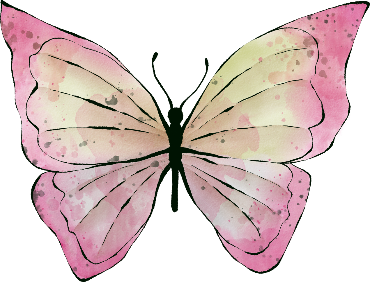 Pink butterfly, watercolor hand drawing