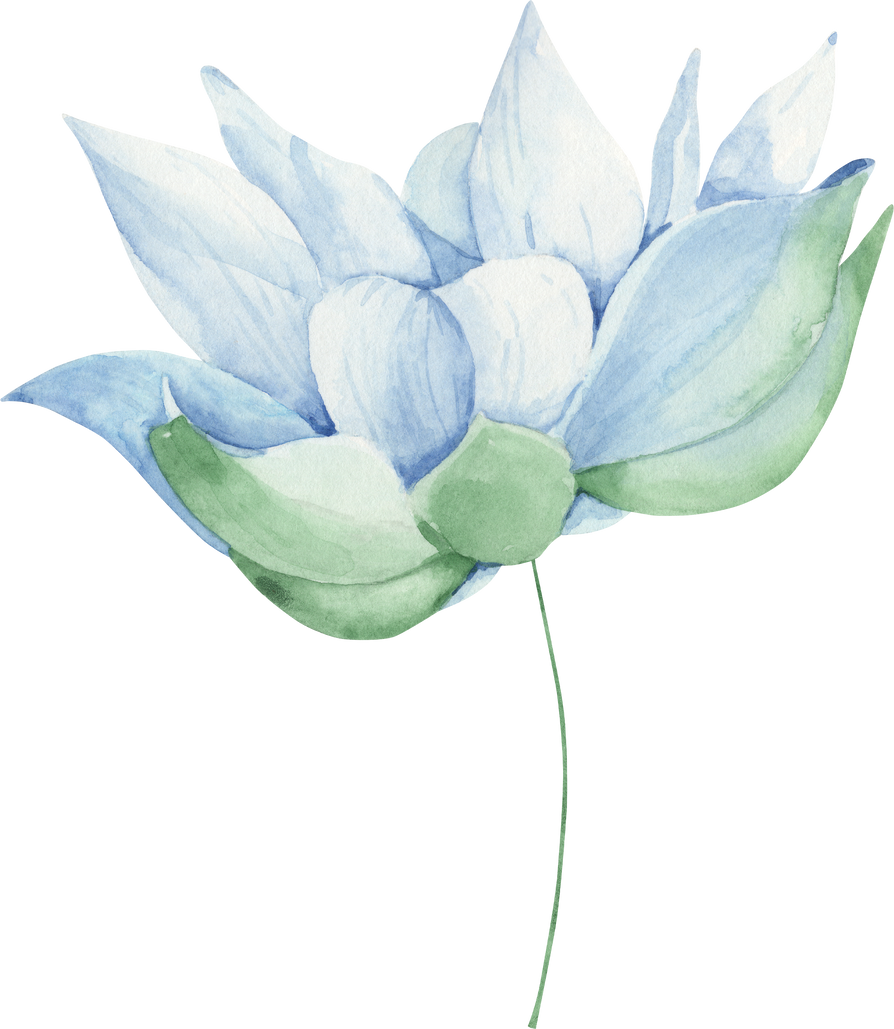 Blue Lotus Flower Watercolor Illustration