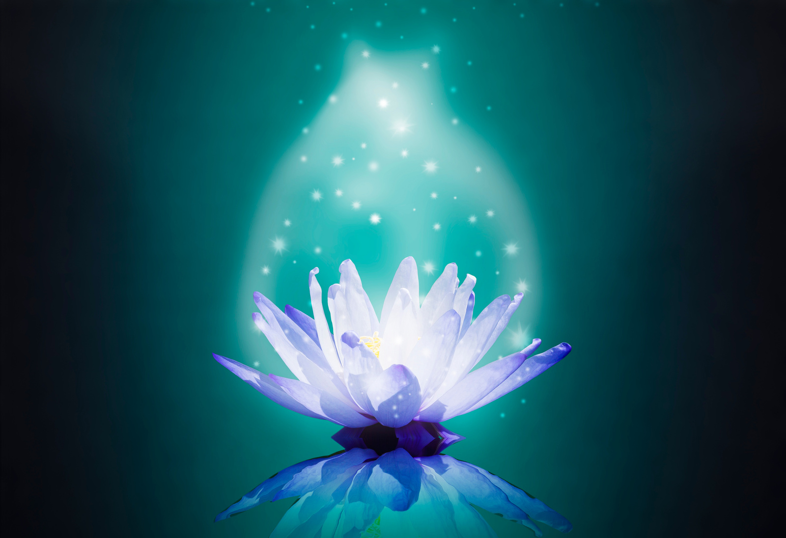 blue water lotus on magic light