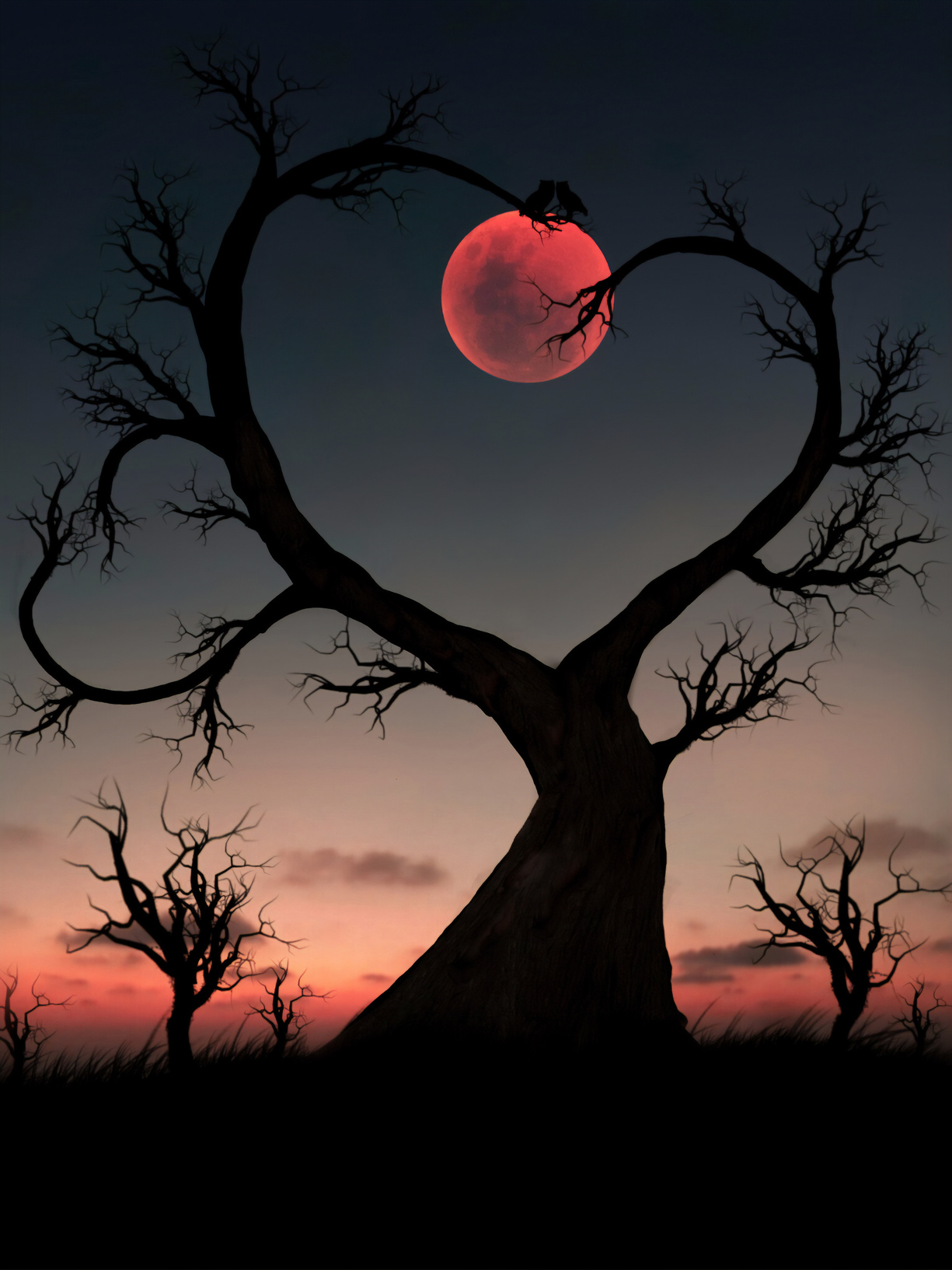 tree and moon, blood moon eclipse,