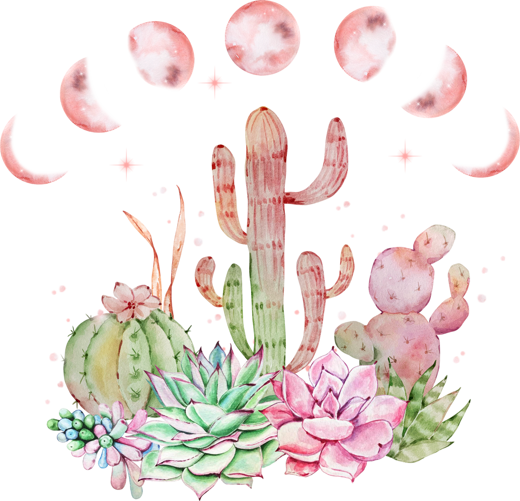 Watercolor illustration of cactus with moon phases