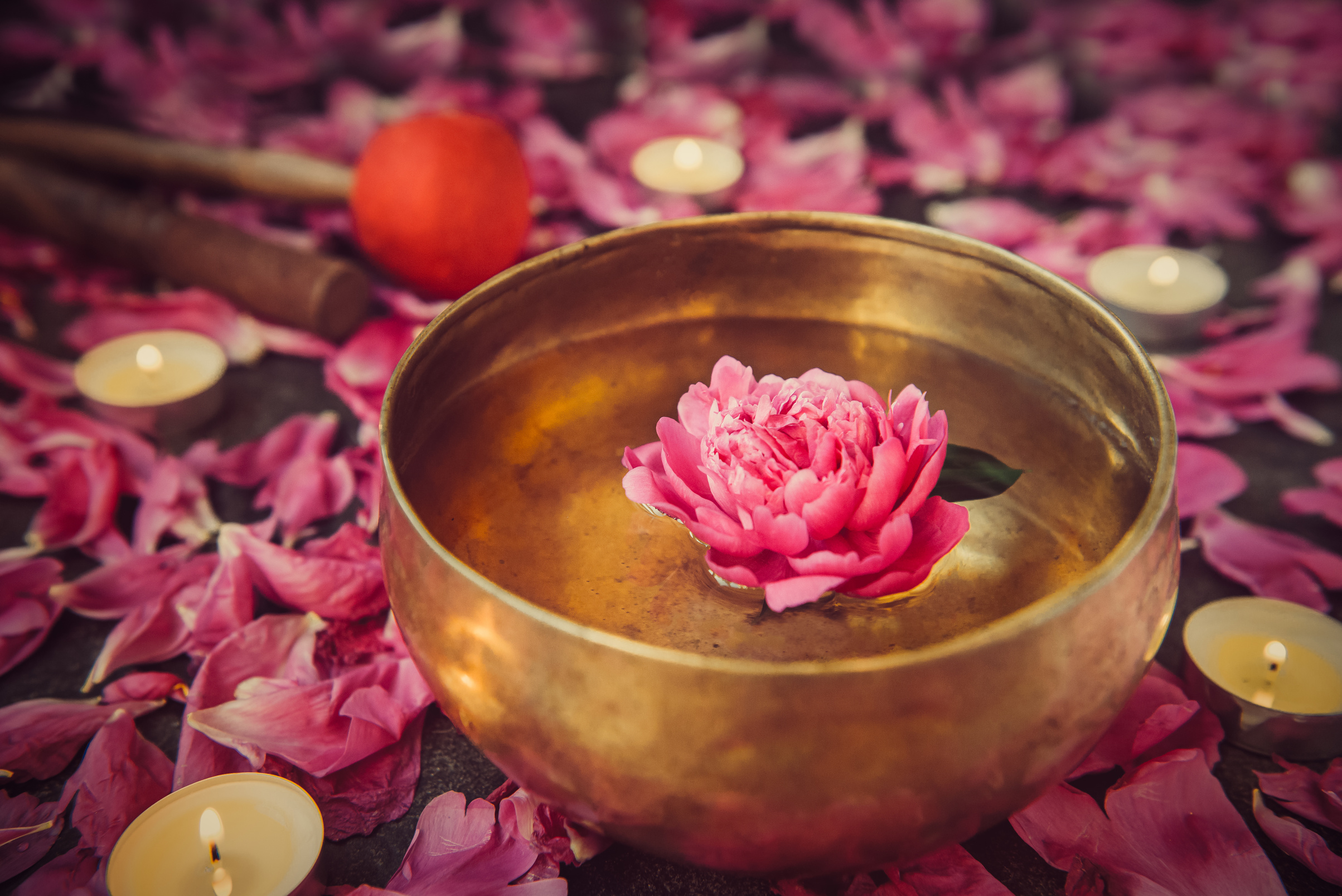 Pink Peonies Floating on a Tibetan Singing Bowl