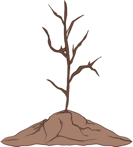 dry tree