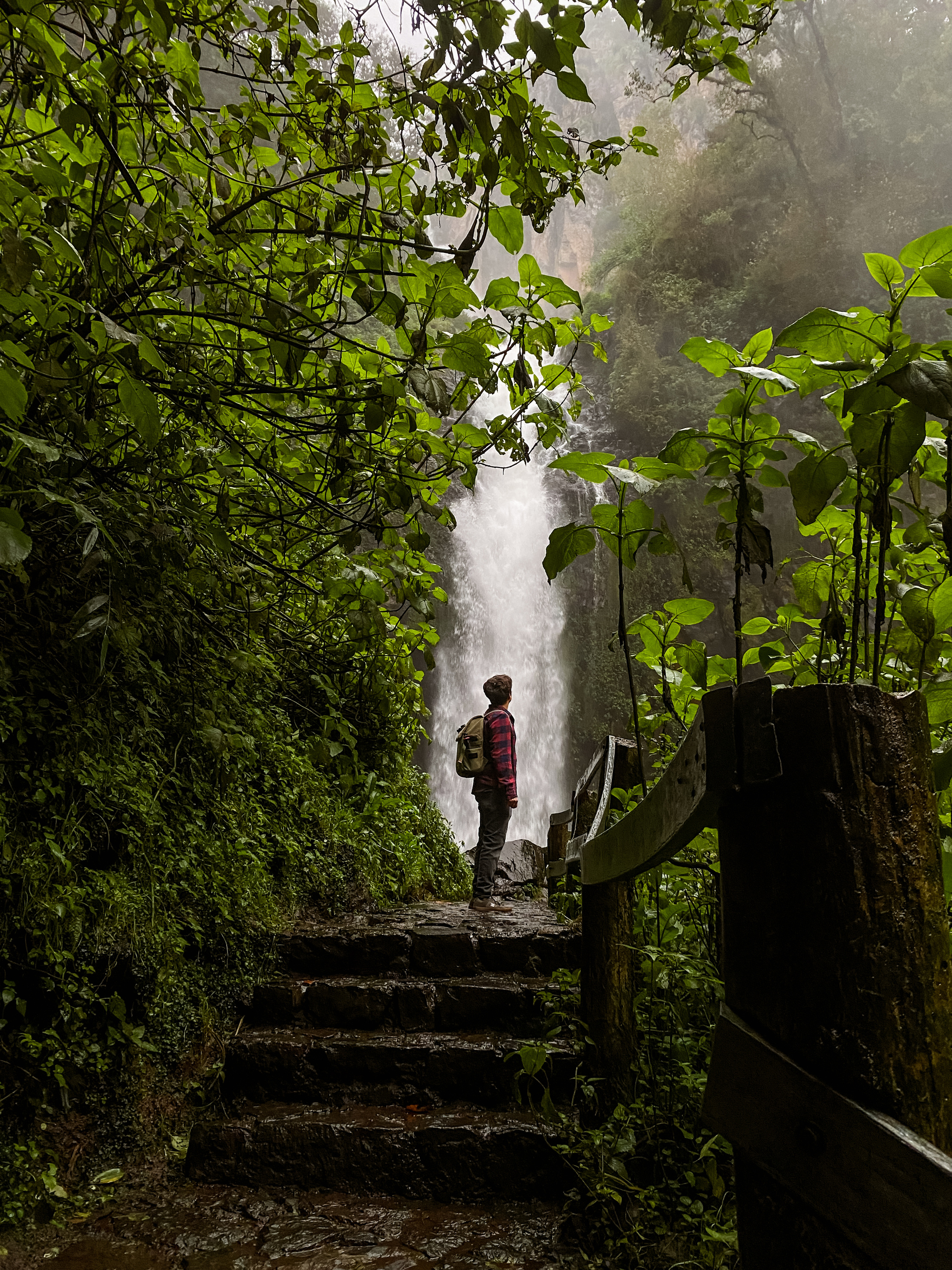 Man in Forest