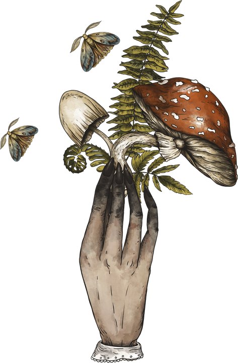 Vintage magic plants Amanita mushroom with witch hand, Witchcraft mystery, fly agaric mushrooms, flowers