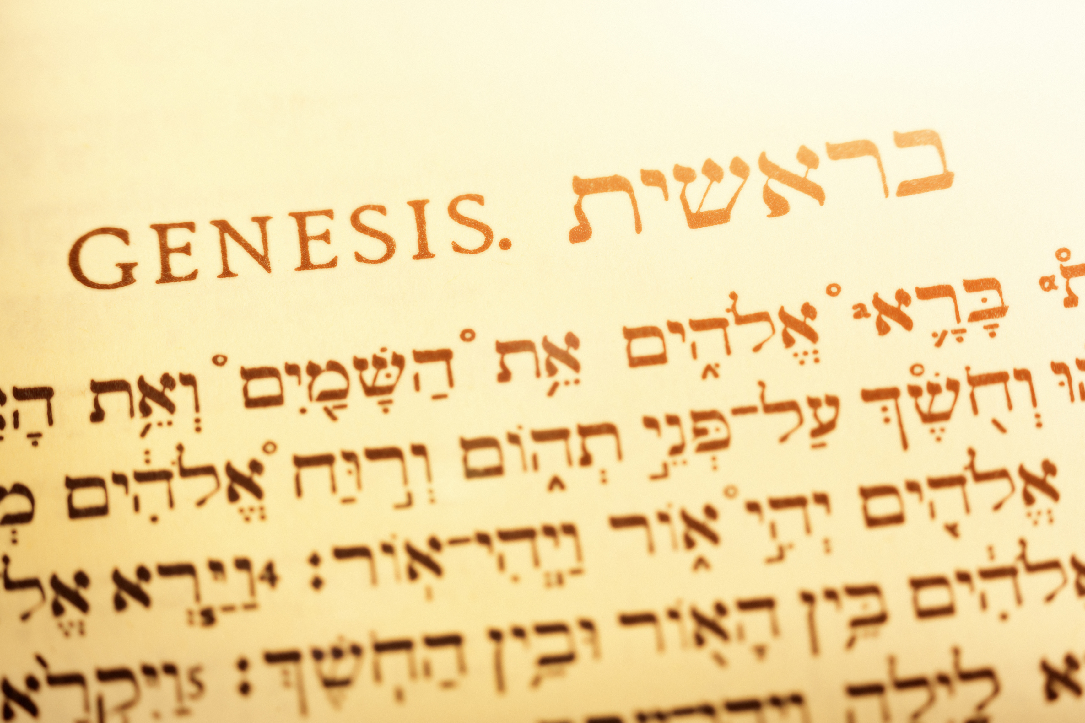 Genesis from a Hebrew translation of the Holy Bible