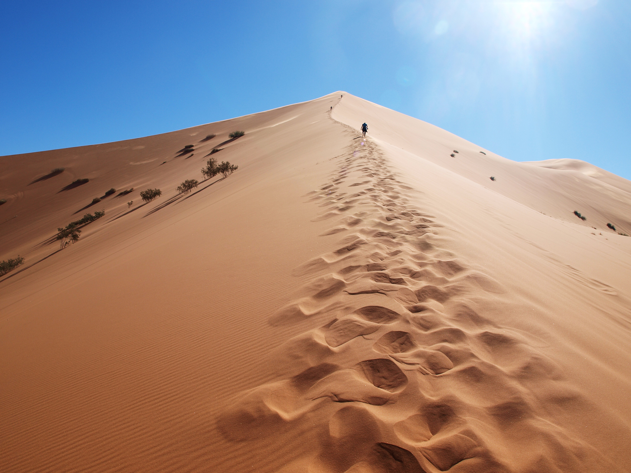 Merzouga desert