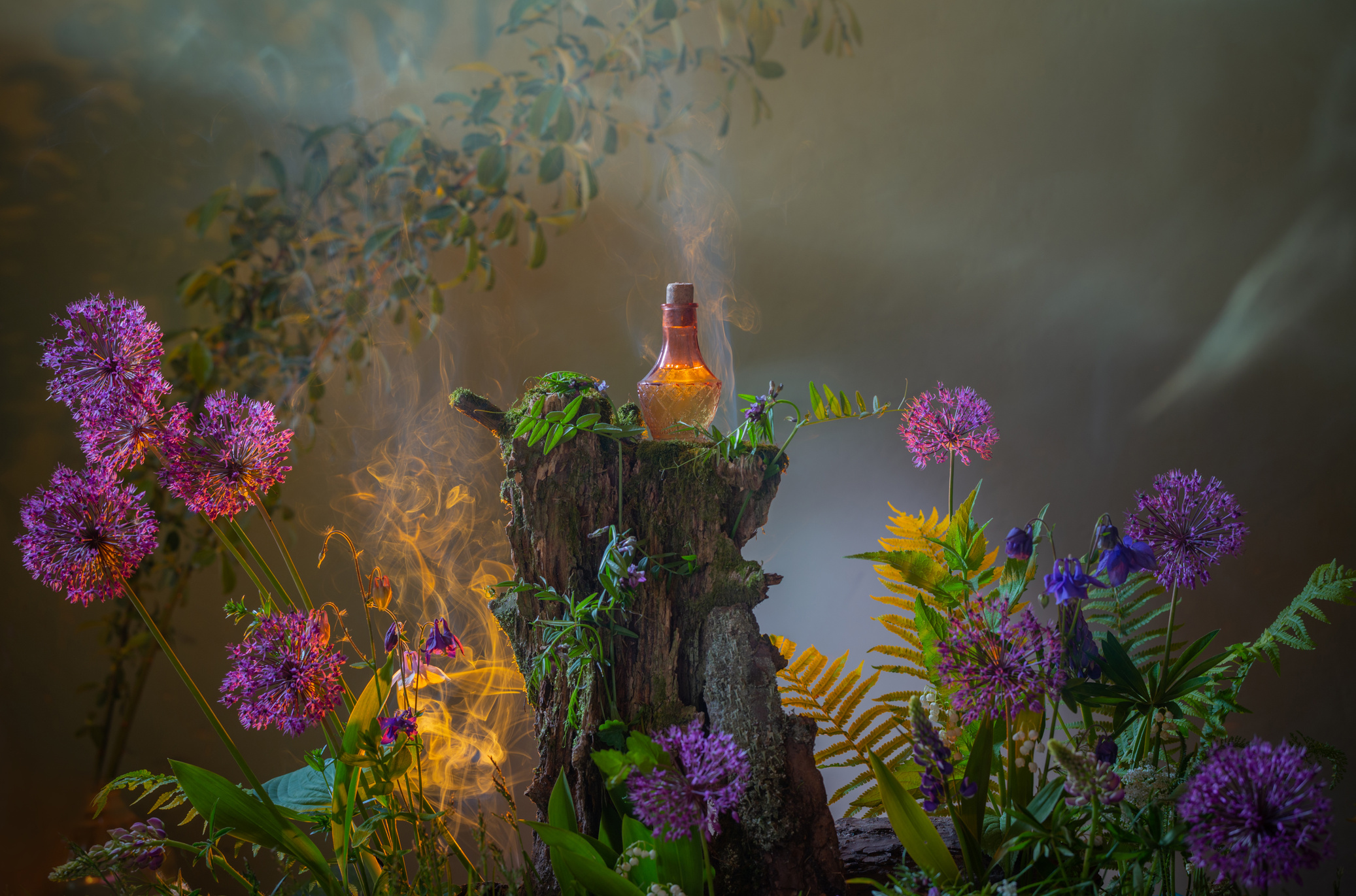 bottle of magic potions in  magical forest