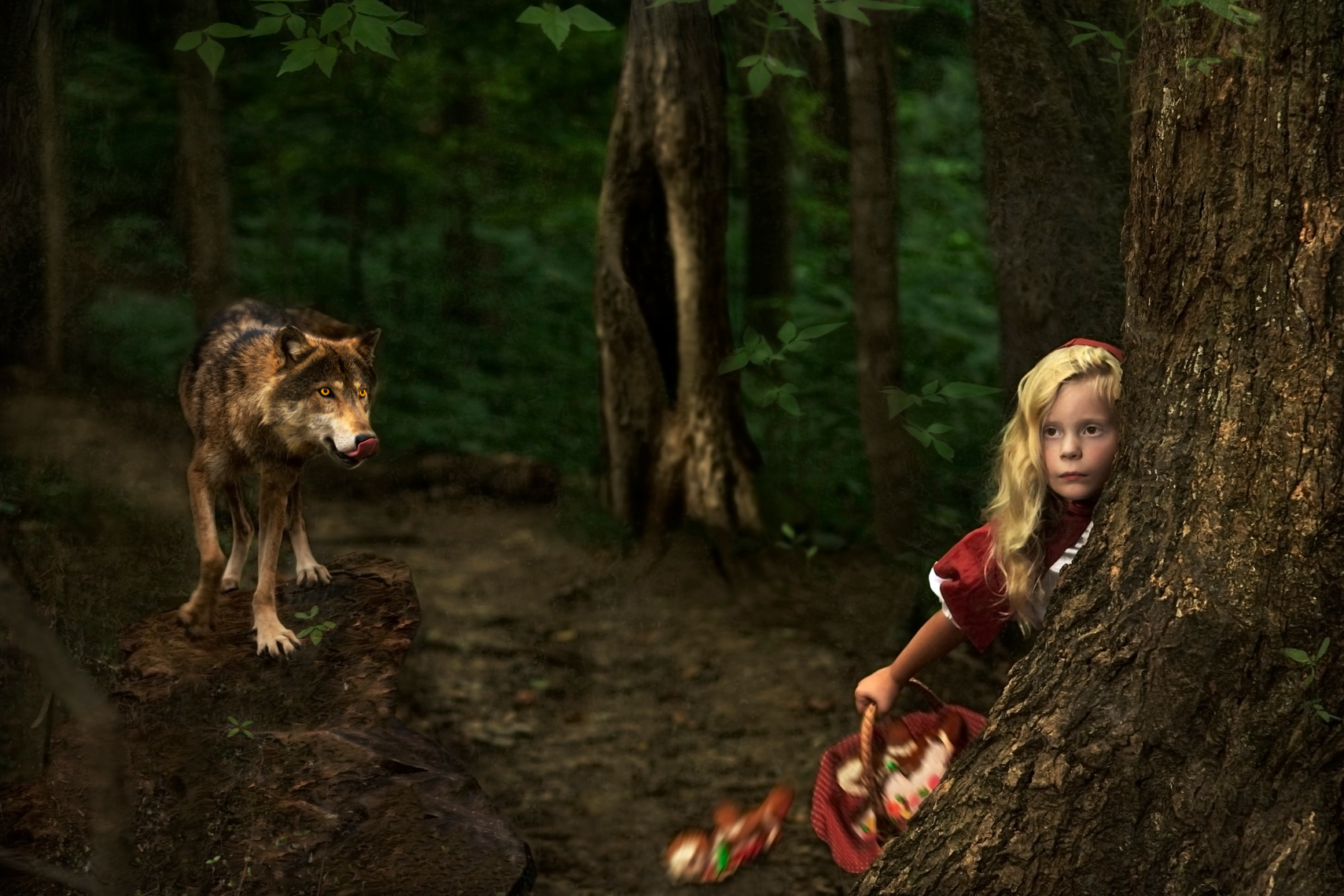 Little Red Riding Hood and wolf in forest