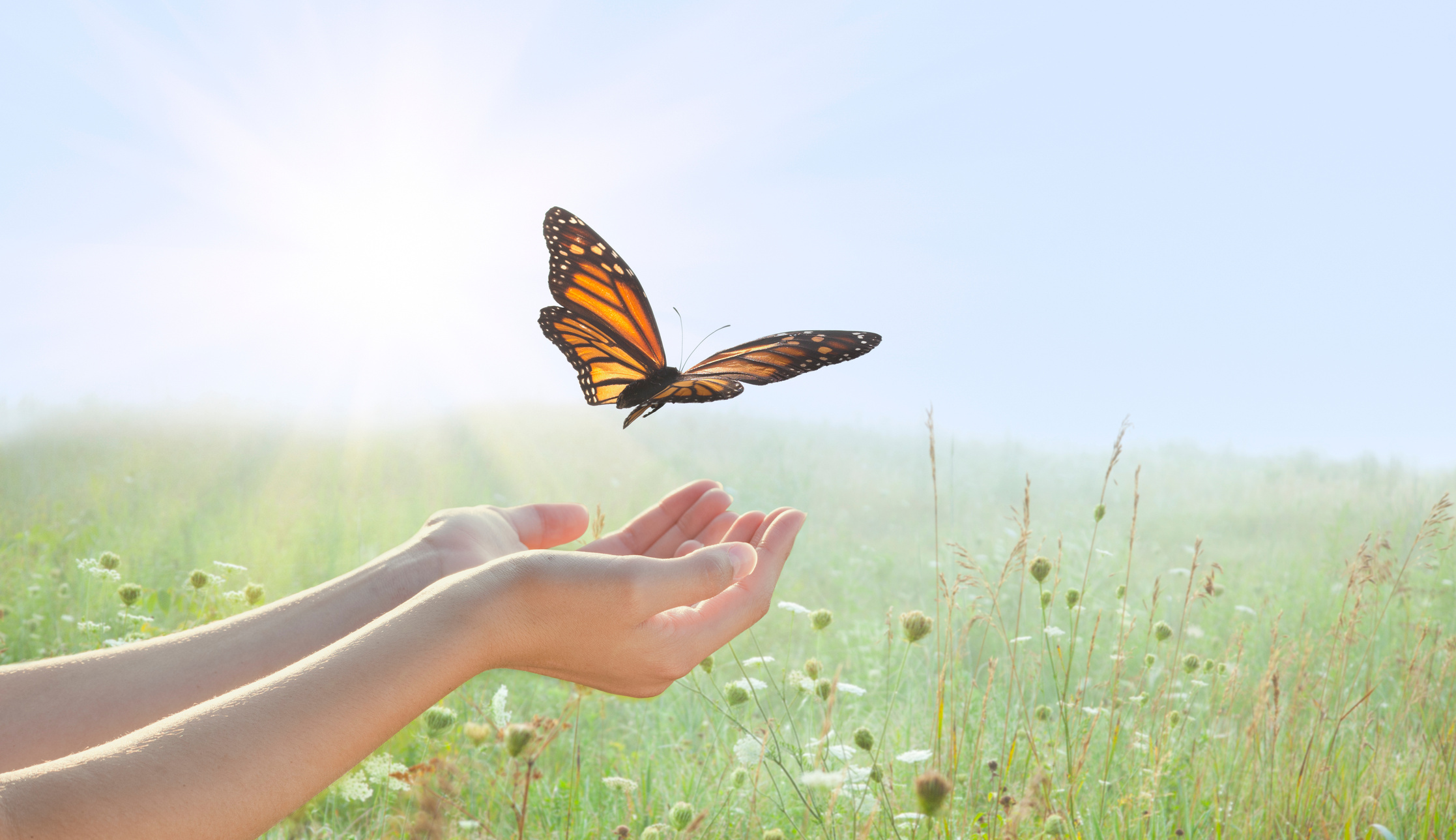 Girl releasing a monarch butterfly