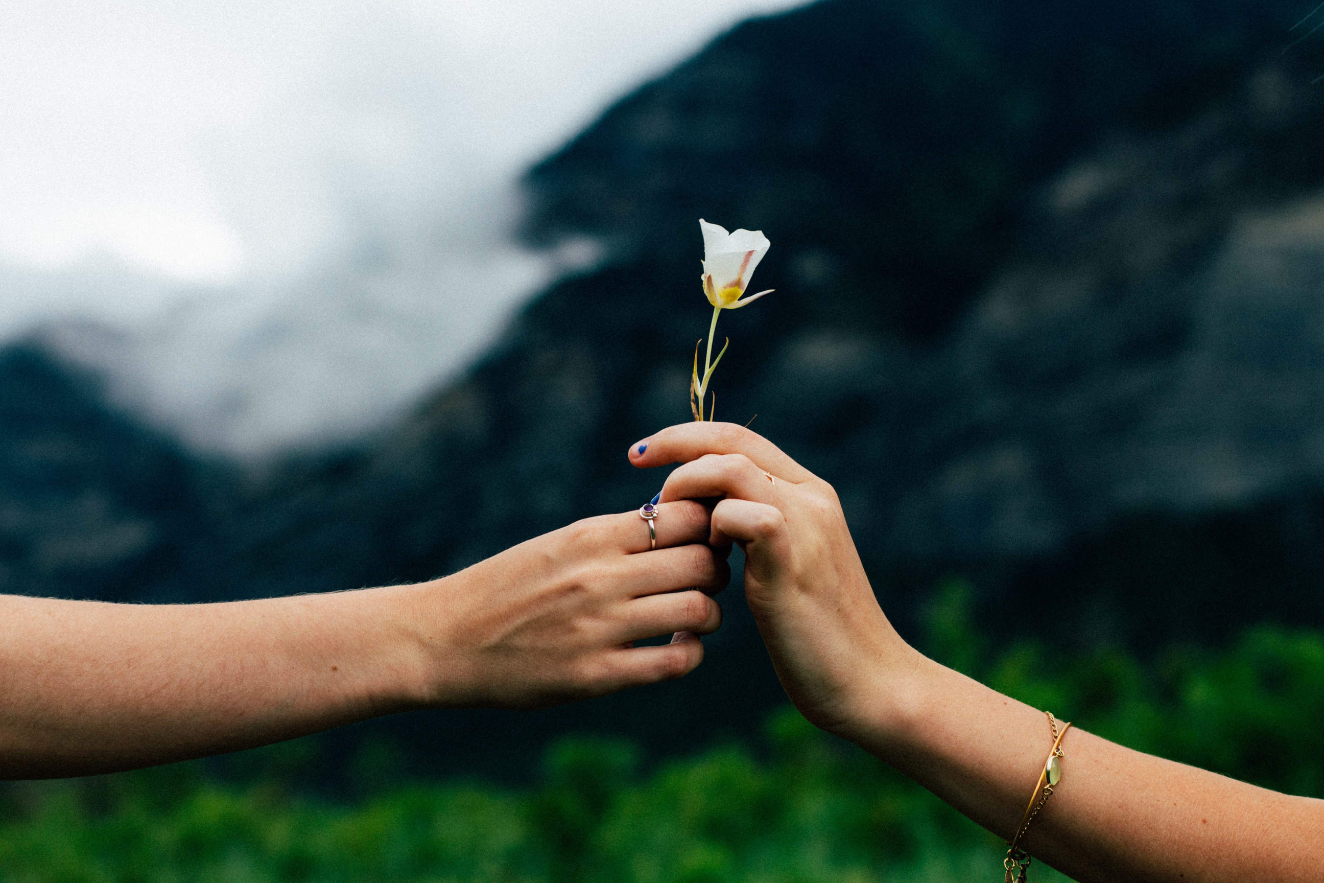 Man Giving a Woman a Flower