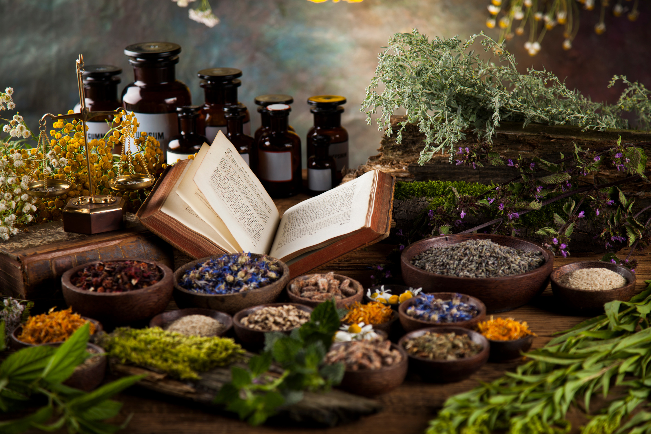 Herbal medicine and book on wooden table background