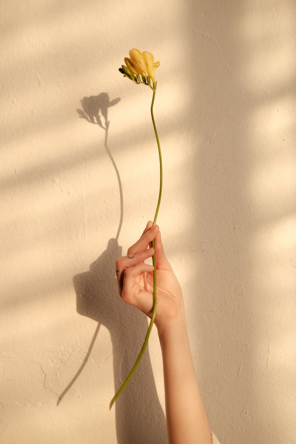 Woman Holding Flower