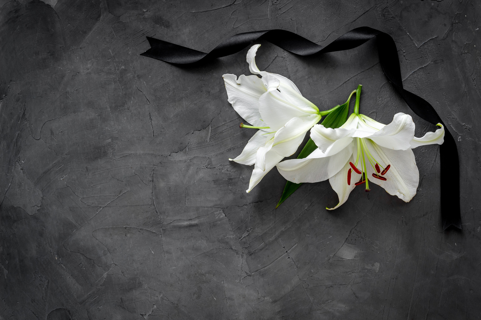 Lily funeral flower on dark stone. Condolence card with copy space