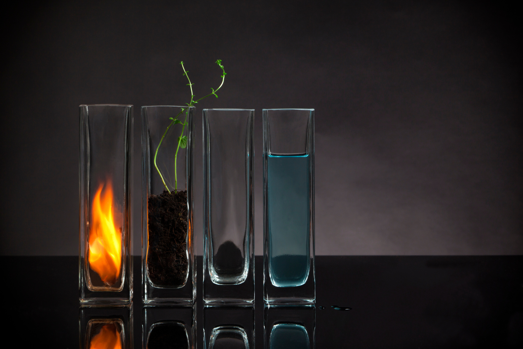 The Four Elements Still-Life