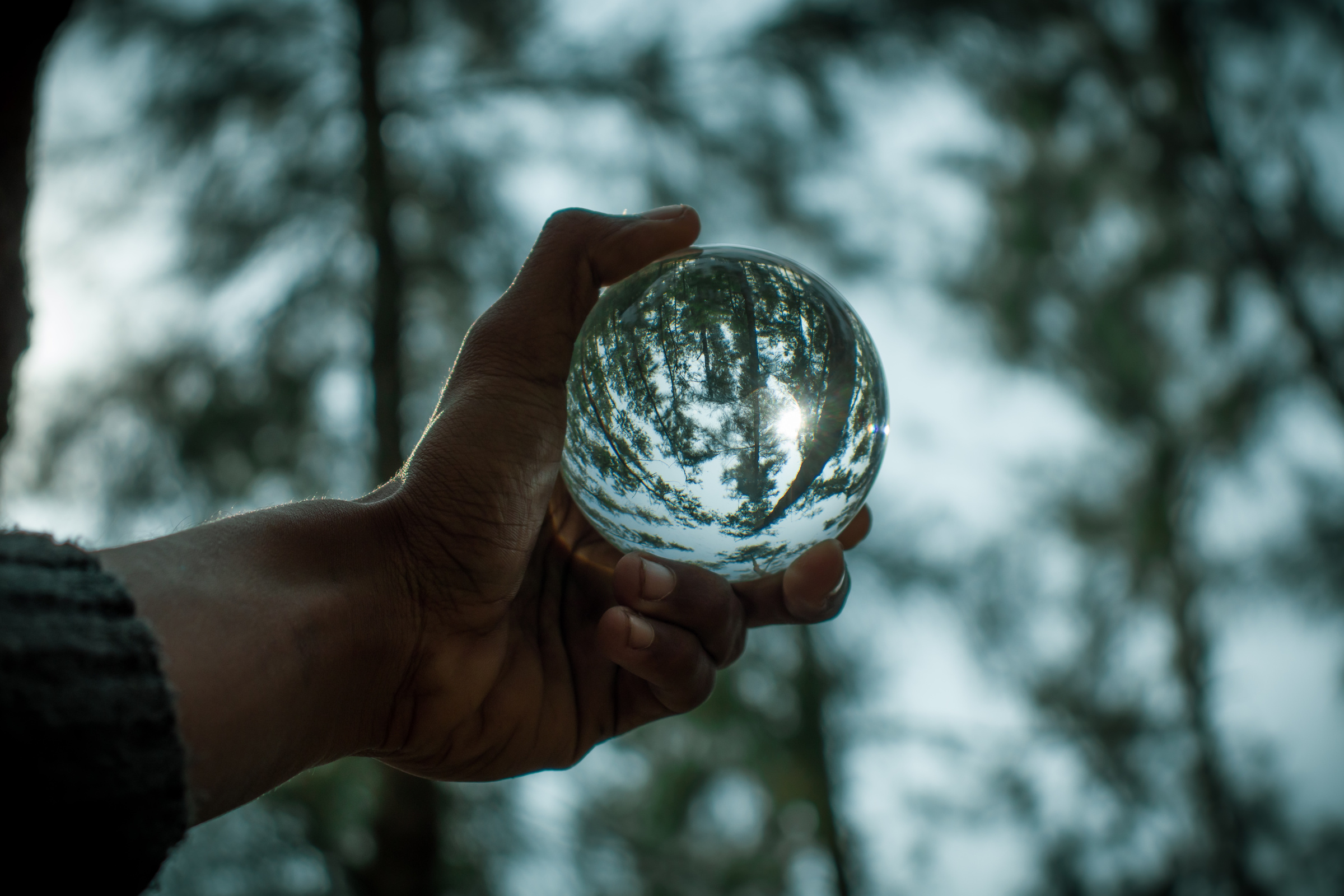 Crop man holding glass ball against forest trees