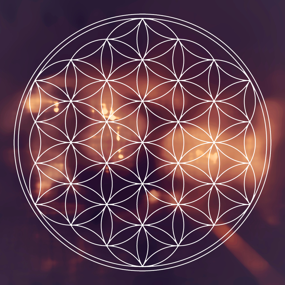 flower of life