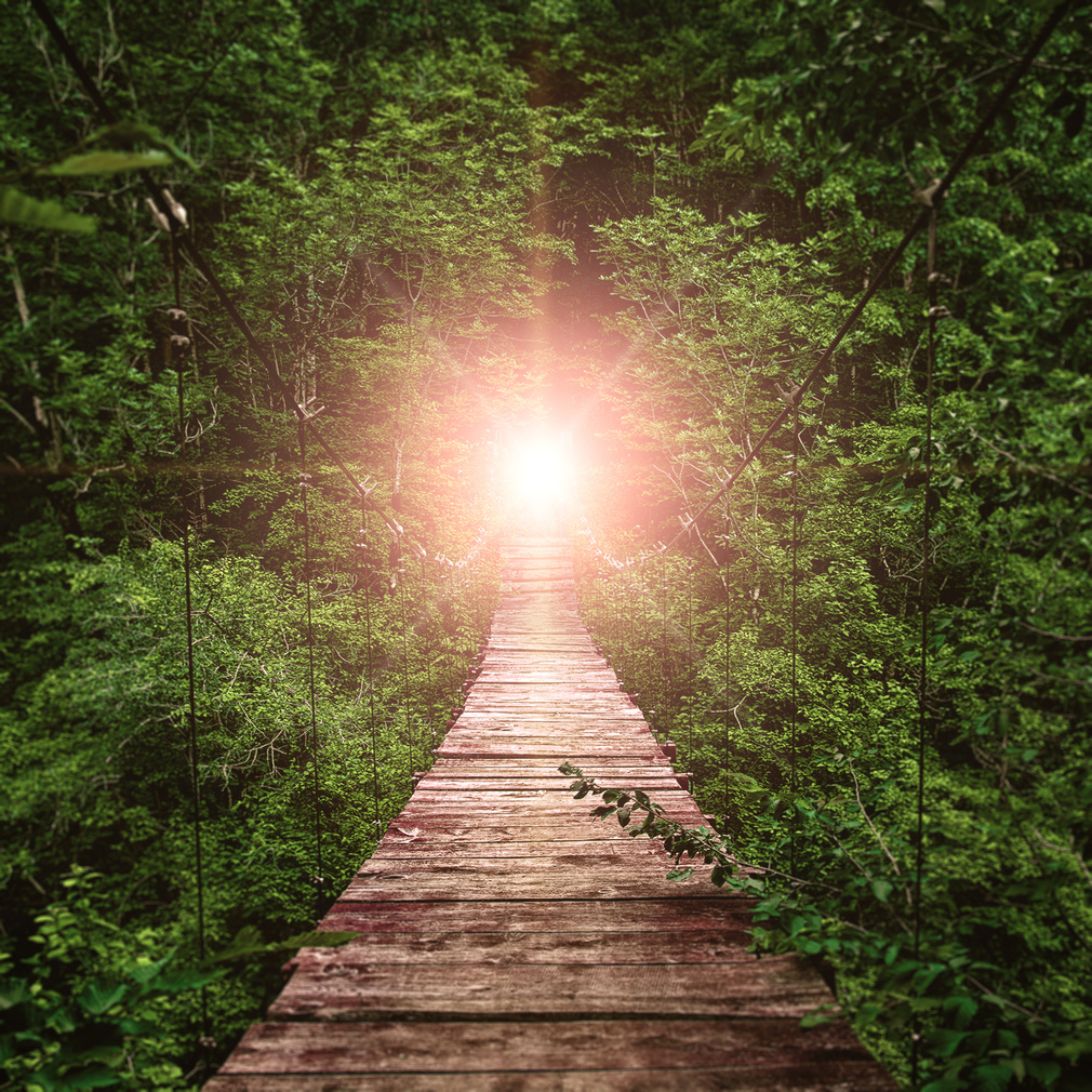 Suspension Bridge. Path to the Light